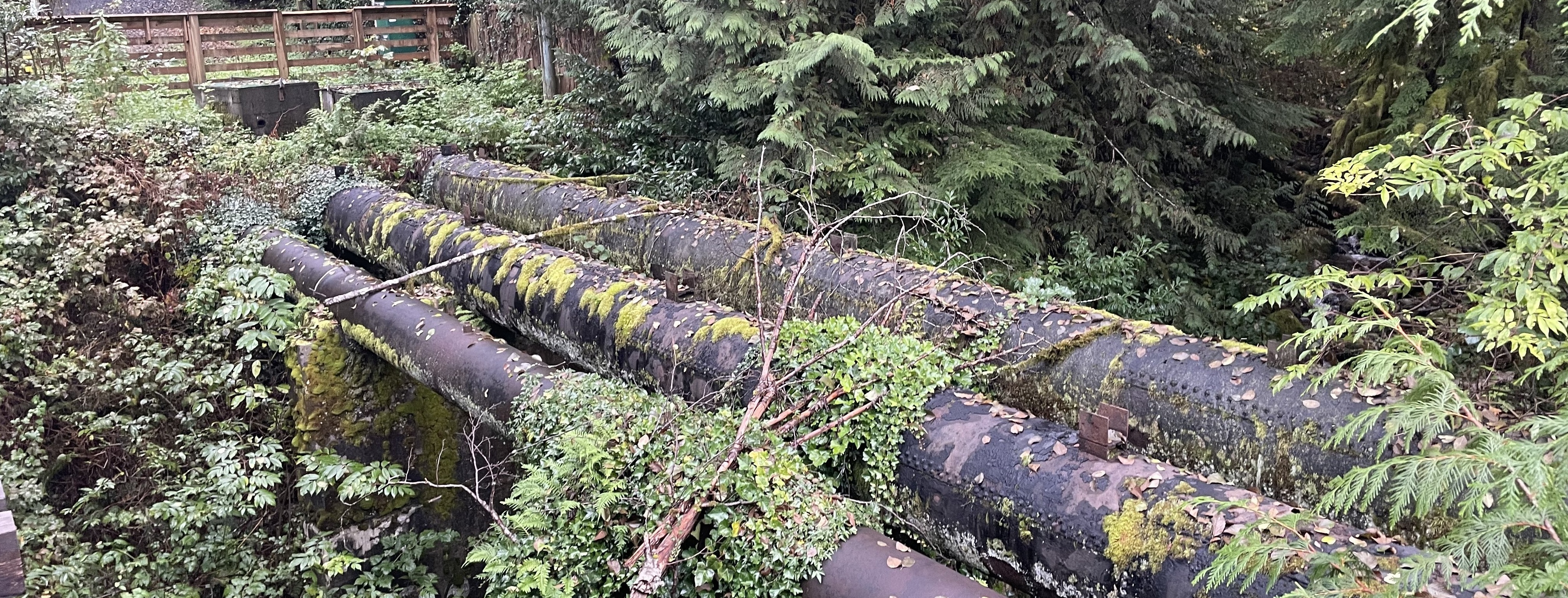 Image: Canyon Aerial Crossing Pipeline Replacement