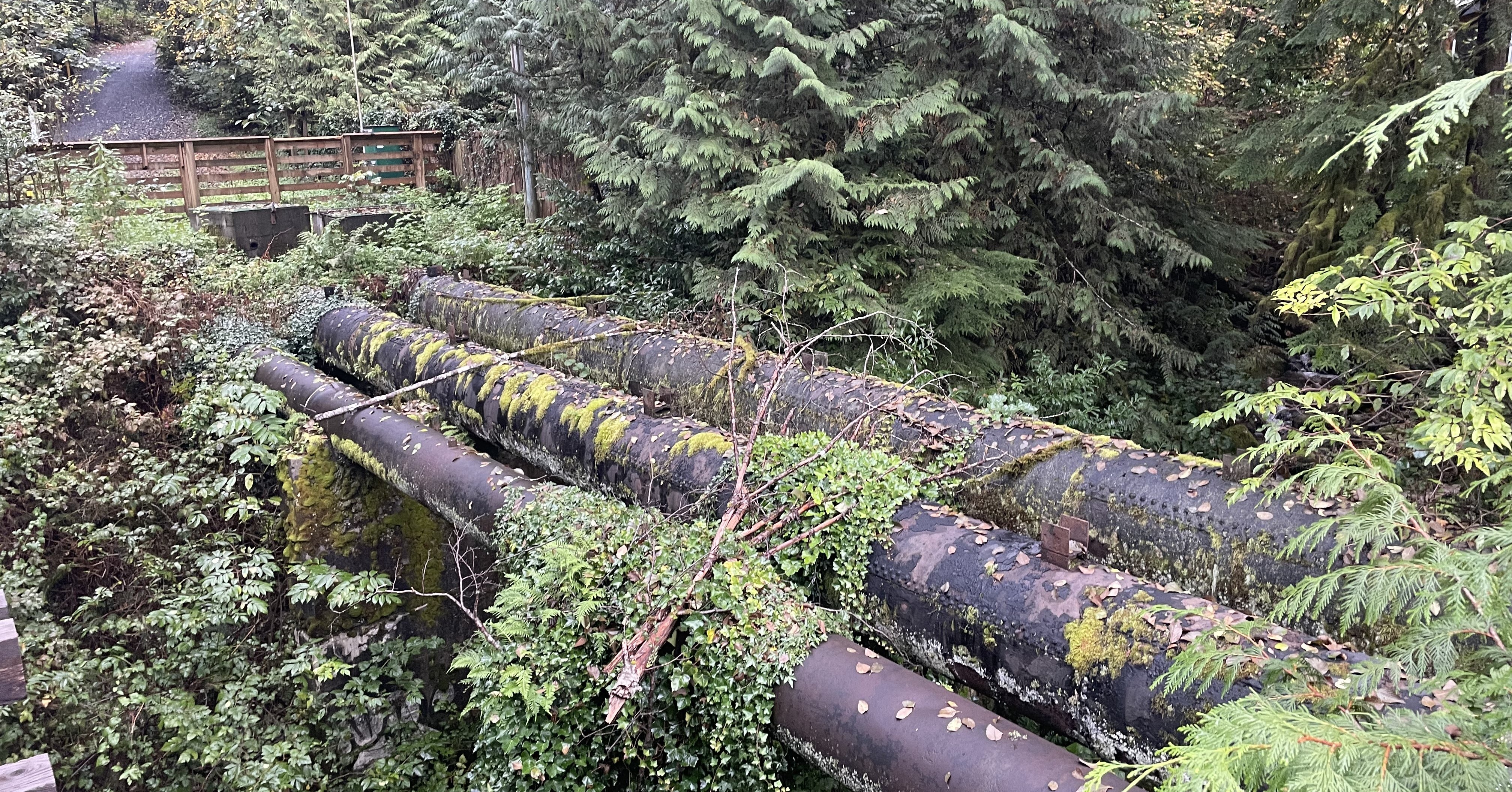 Image: Canyon Aerial Crossing Pipeline Replacement