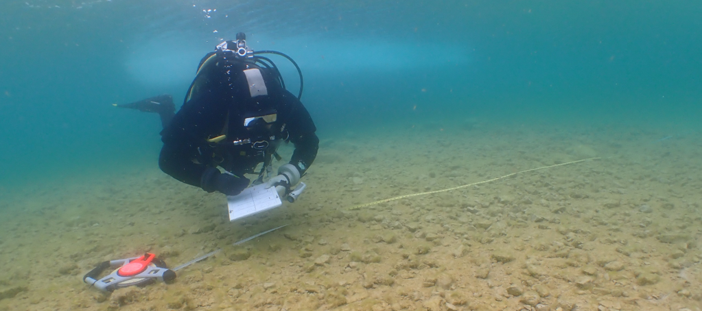 Image: Dive survey in remote Arctic waters