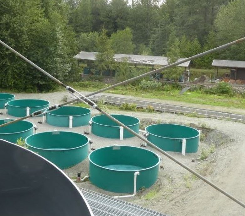 Snootli Creek fish hatchery aeration facility