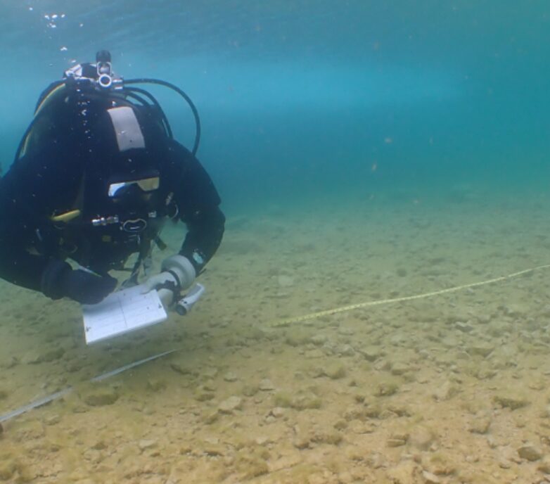 Dive survey in remote Arctic waters