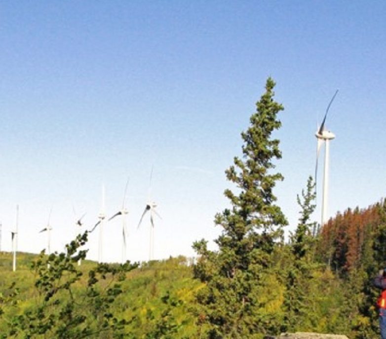 Bear Mountain Wind Park: 34 turbine, 102 MW wind energy facility