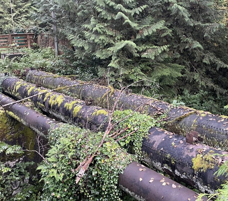 Canyon Aerial Crossing Pipeline Replacement