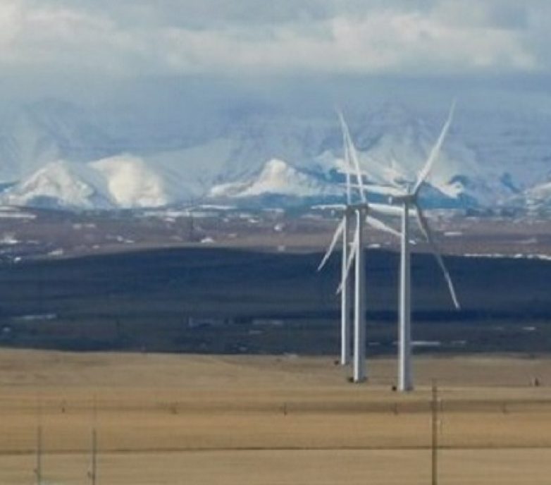 Understanding environmental risks early in a project and planning for a successful operation