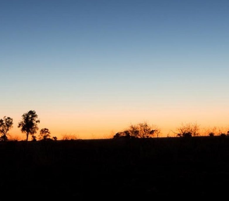 Co-designing a better way forward that keeps the future good for all of us