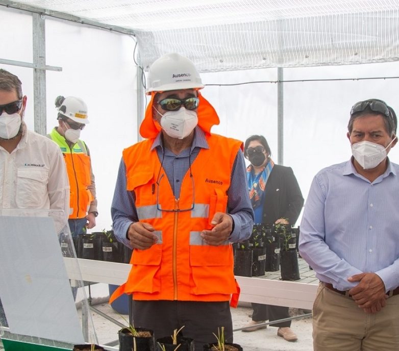Ausenco works with Albemarle to develop a plant nursery at the Salar de Atacama Plant in Chile